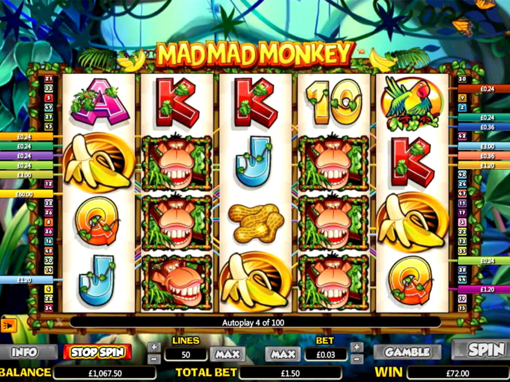 95 free spins no deposit casino at Next Casino