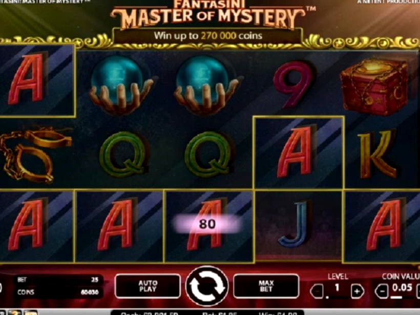 $555 casino chip at Wild Slots Casino