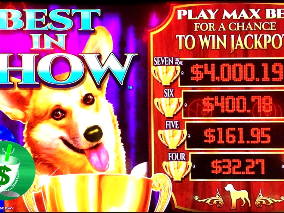 105% Match bonus at Video Slots Casino
