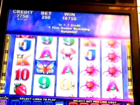 €4060 No Deposit Bonus at Party Casino