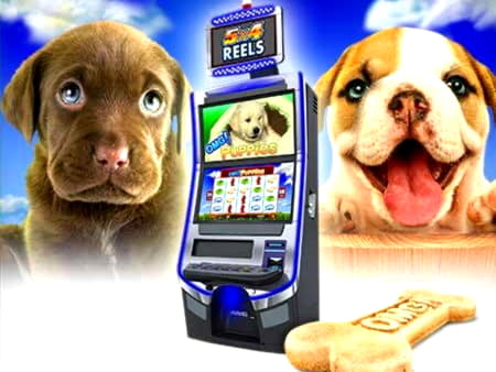 EUR 3800 No deposit bonus casino at Frank and Fred Casino