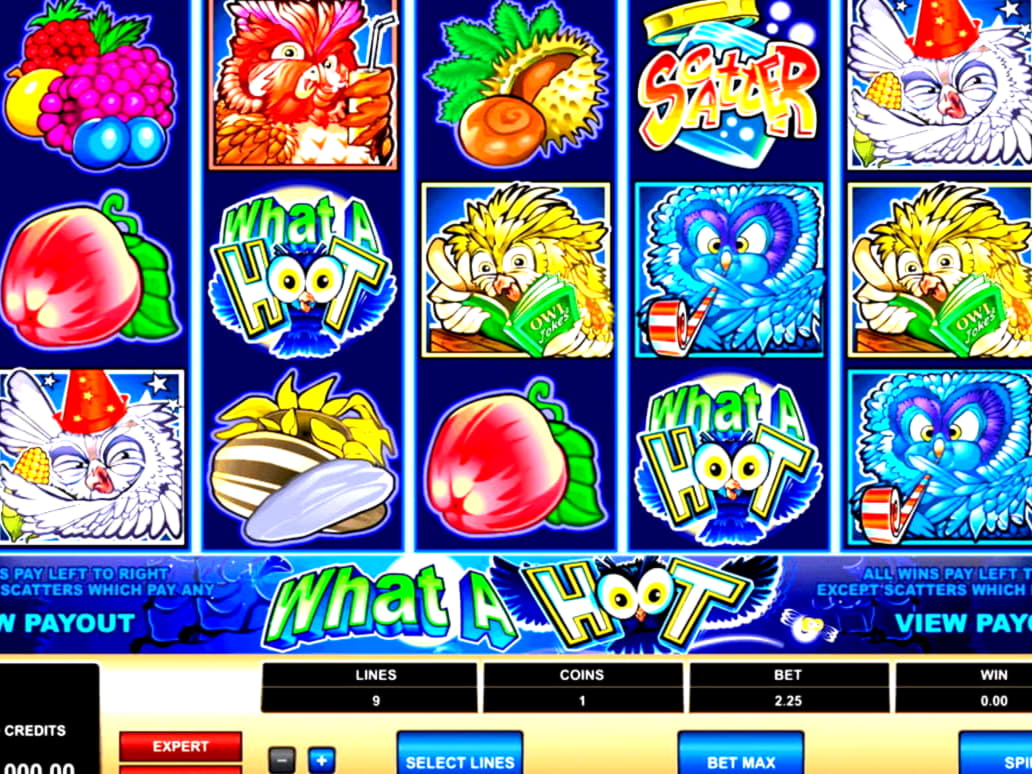 655% First Deposit Bonus at Wild Slots Casino