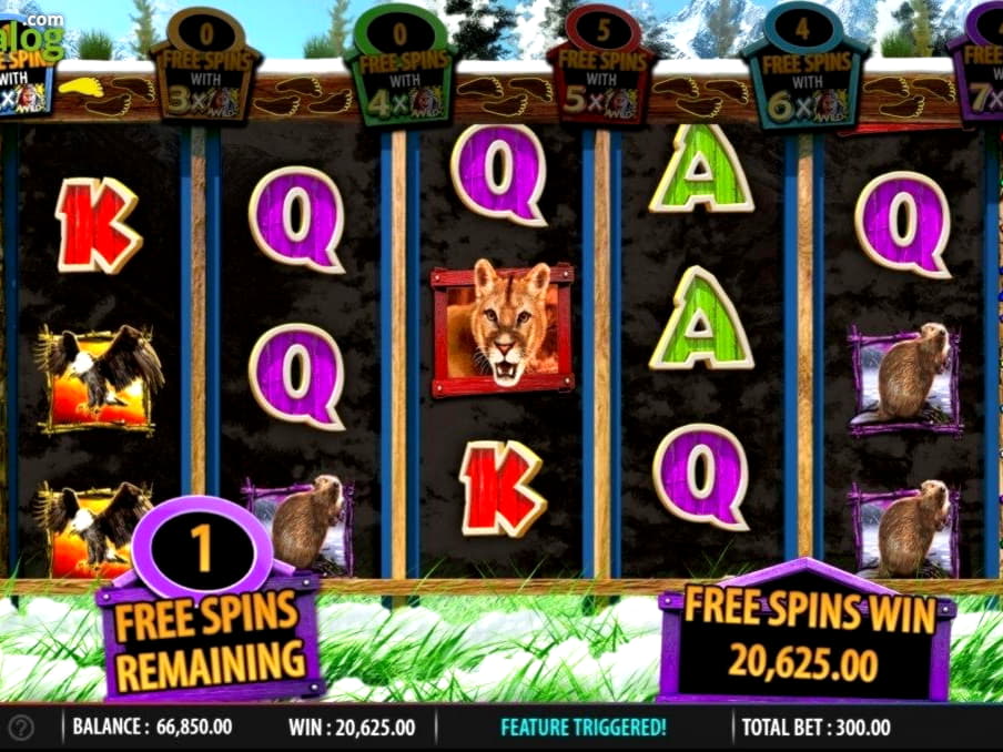 $1955 no deposit bonus casino at Wild Slots Casino