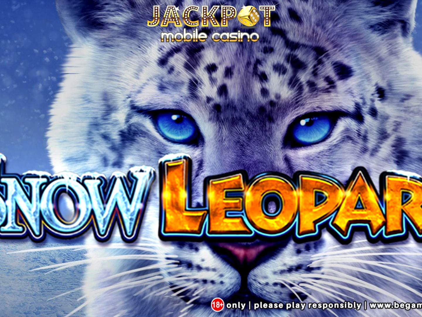 €50 Casino chip at Red Ping Win Casino