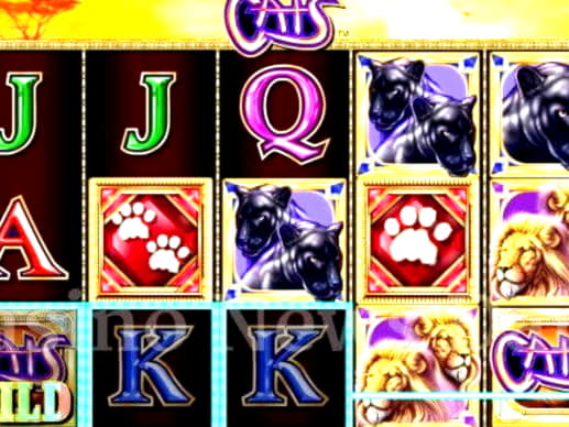€195 NO DEPOSIT BONUS CASINO at Casino-X