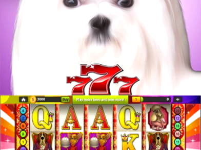 465% Welcome Bonus at Omni Slots Casino