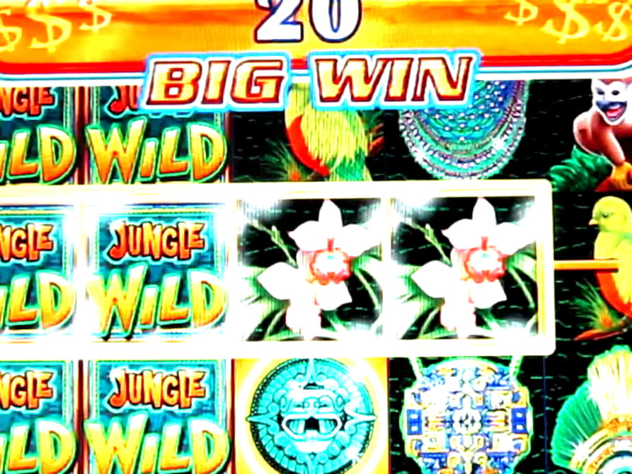 210 Loyalty Free Spins! at Casino com