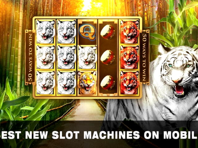 ﻿$540 Tournament at Next Casino