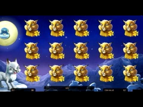 $4640 NO DEPOSIT CASINO BONUS at BGO Casino