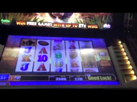 $820 Casino tournaments freeroll at Holland Online Casino
