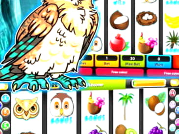 $235 Casino tournaments freeroll at Rizk Casino