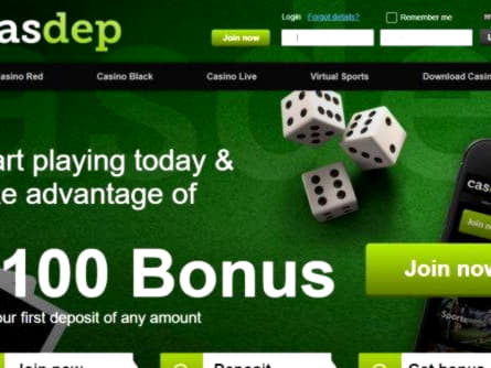 990% No Rules Bonus! at Rizk Casino