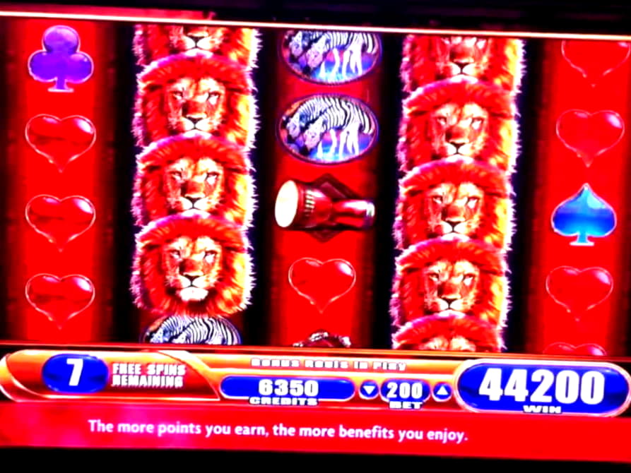 55 free spins casino at King Billy Casino