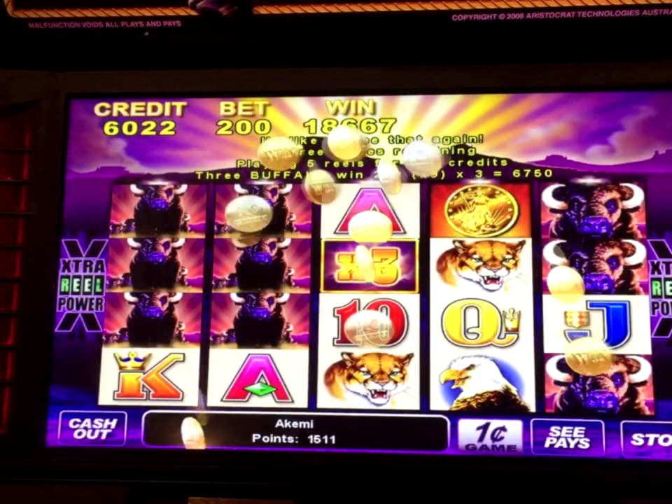 ﻿$750 Tournament at Leo Dubai Casino