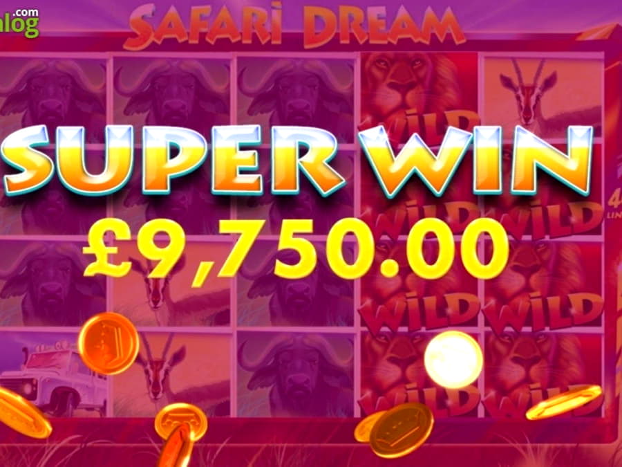 295 Free Spins no deposit casino at Holland Online Casino