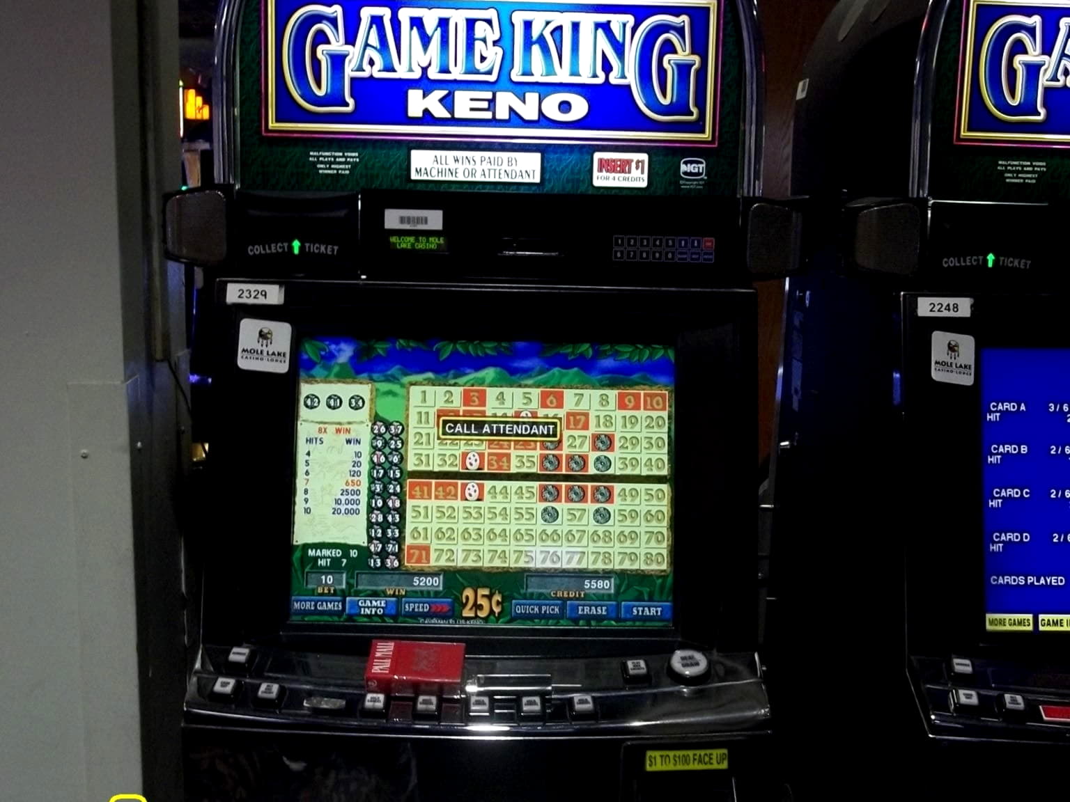 Eur 975 Tournament at Wild Slots Casino