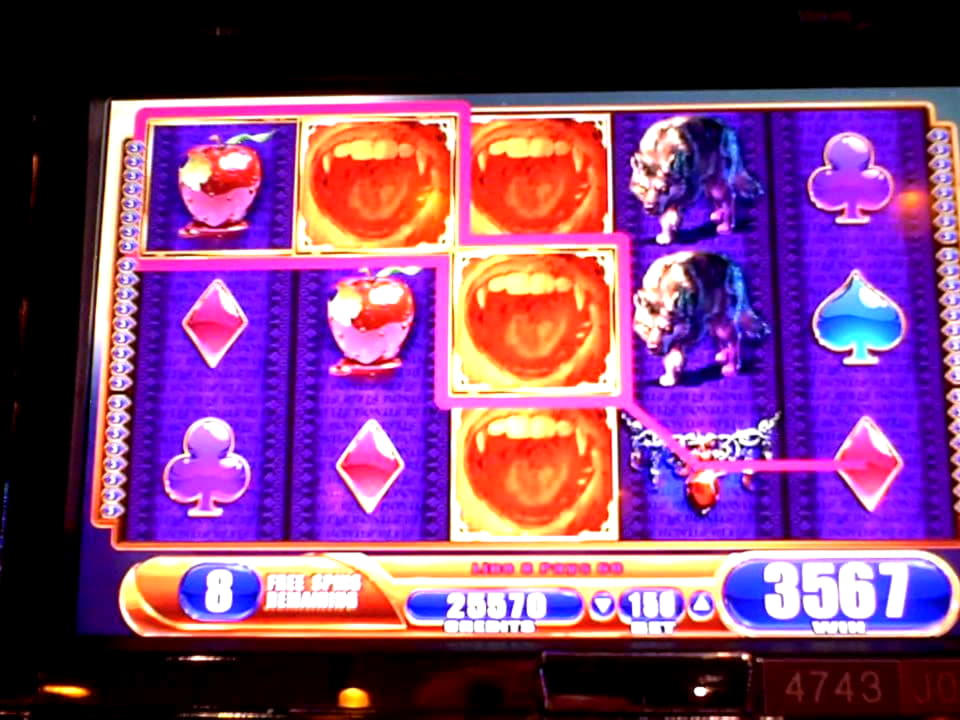 EURO 545 Free Casino Tournament at BGO Casino