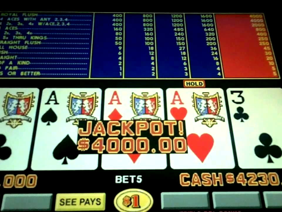 255 free spins no deposit casino at Guts Casino