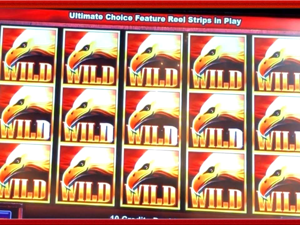 140 free spins casino at Guts Casino