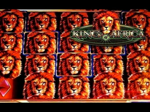 10 Free spins casino at Next Casino