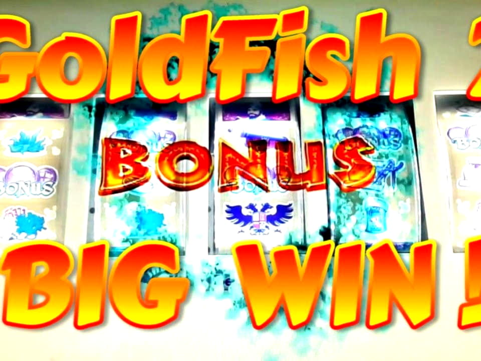 $1965 NO DEPOSIT BONUS CODE at Sloty Casino