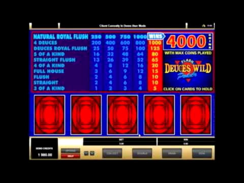 505% Best signup bonus casino at Rizk Casino
