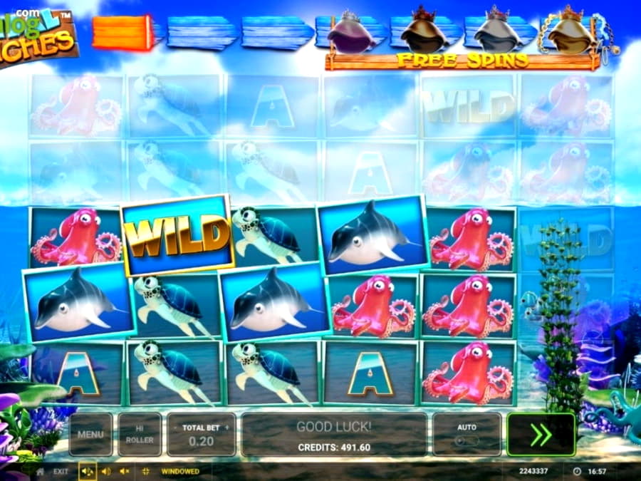 890% First Deposit Bonus at Nordi Casino