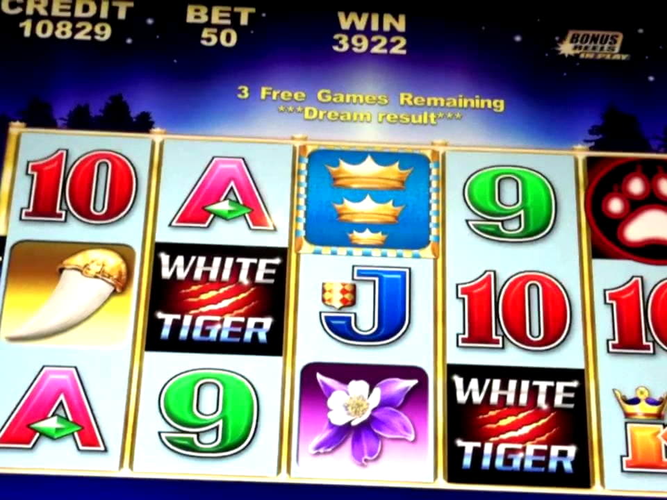 EURO 350 FREE CHIP at Dunder Casino