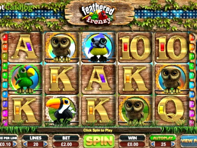 €460 Online Casino Tournament at Leo Dubai Casino