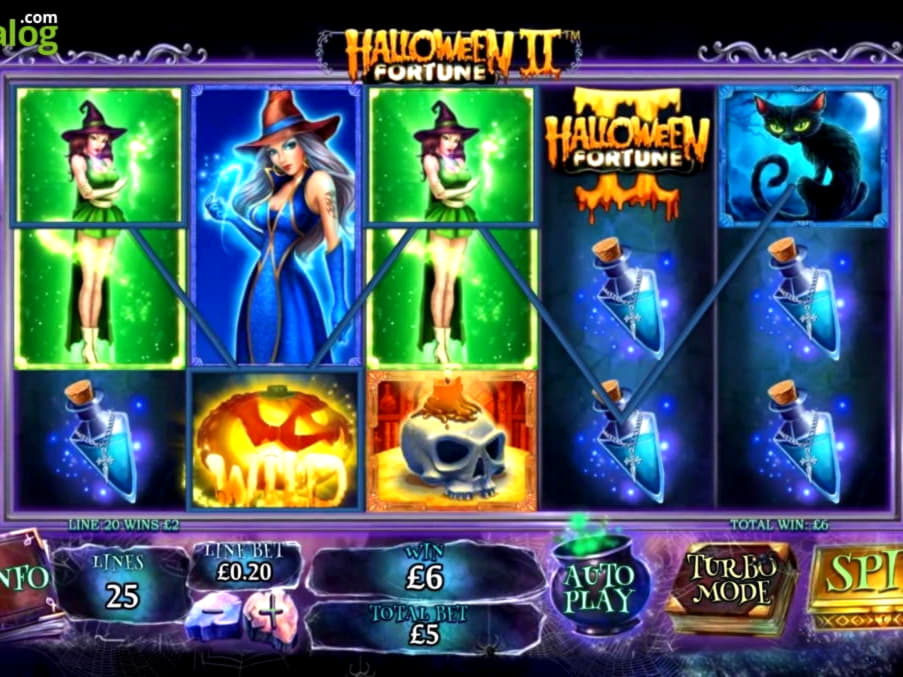 Eur 365 No Deposit Bonus at Rizk Casino