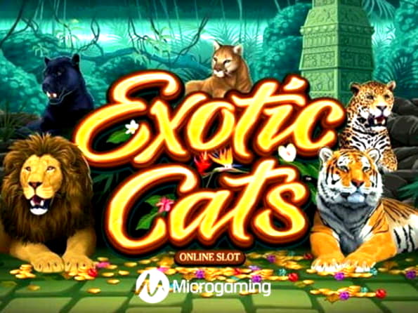$480 Free chip casino at Party Casino