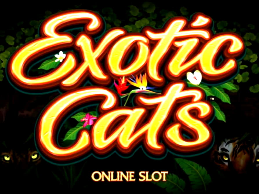 Eur 735 Casino tournaments freeroll at Cherry Casino