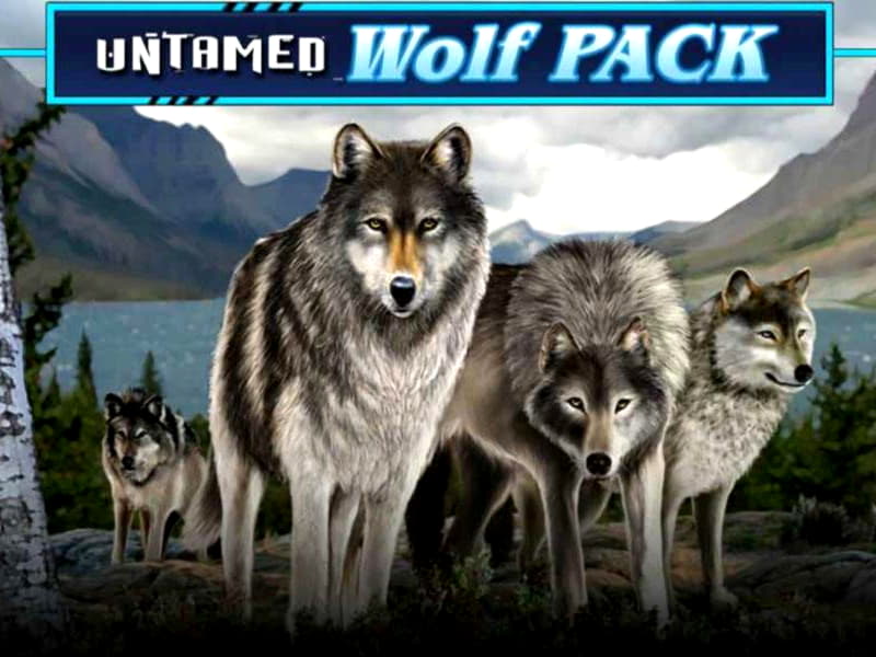 EUR 920 Casino tournaments freeroll at Sloty Casino