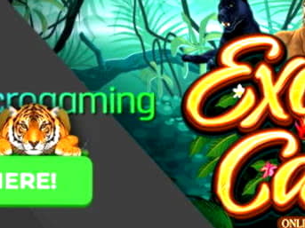 EUR 205 Mobile freeroll slot tournament at BGO Casino