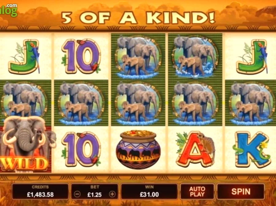 €66 Casino Tournament at Dunder Casino
