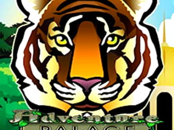 810% First Deposit Bonus at Next Casino