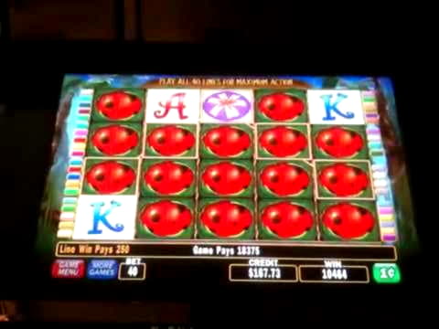 $3710 No Deposit Bonus Casino at Next Casino