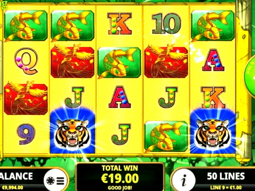 £315 Free Money at Next Casino