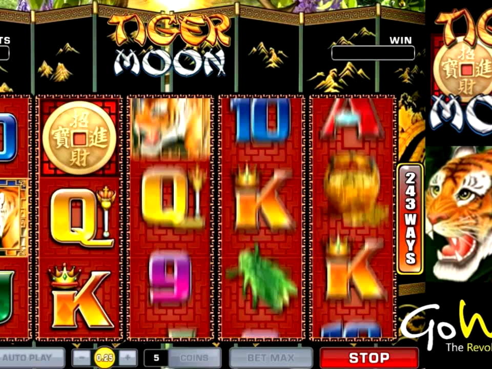 €500 Daily freeroll slot tournament at Video Slots Casino