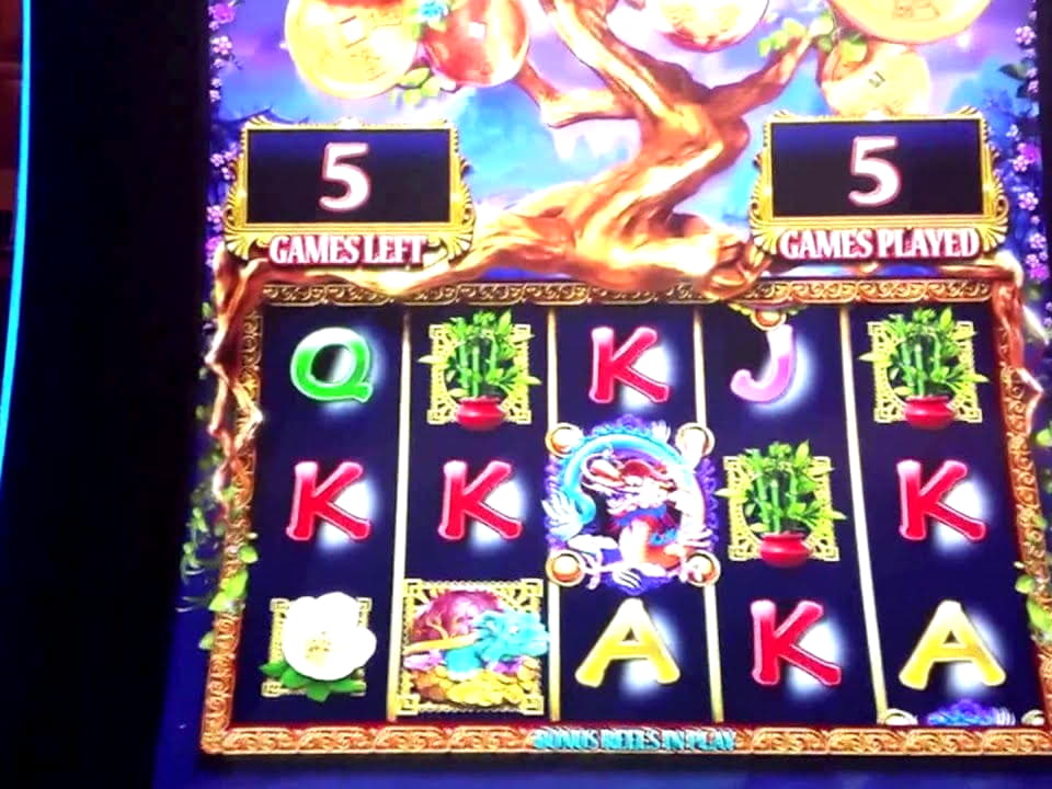 55 free spins no deposit casino at Casino-X