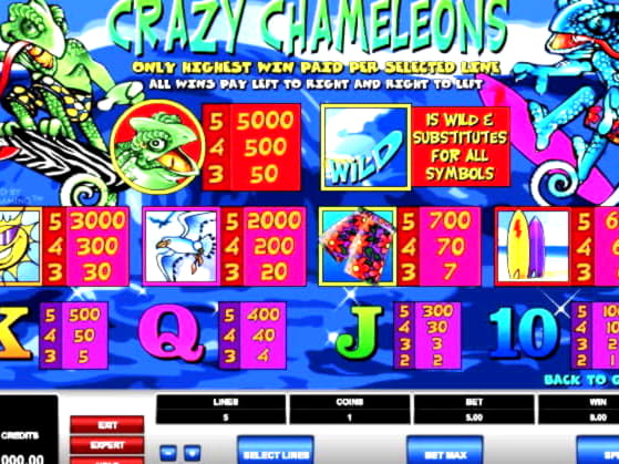 $855 Casino Tournament at Rizk Casino