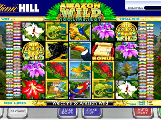 200% Match at a Casino at William Hill Casino