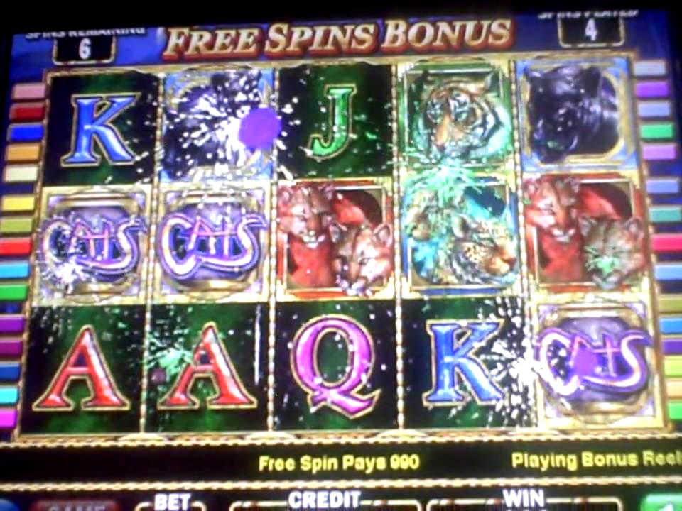 370% Welcome Bonus at Wild Slots Casino