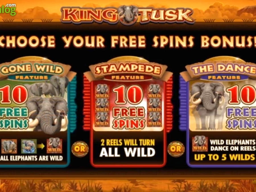 EUR 235 free chip at William Hill Casino