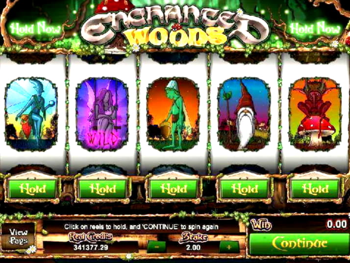 175 Free Spins at Wild Slots Casino