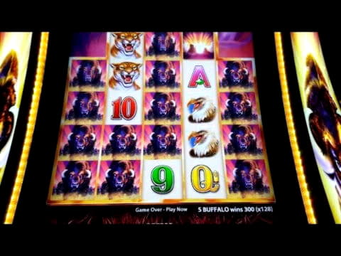 Eur 515 Free Casino Tournament at Holland Online Casino