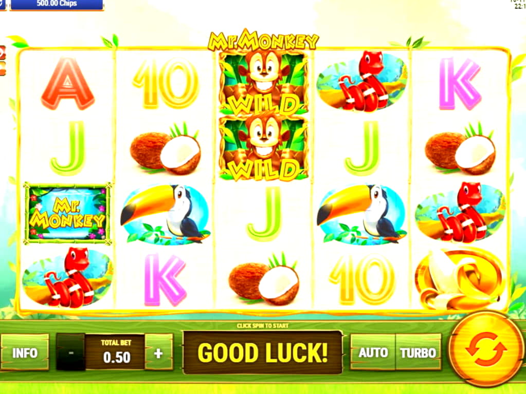 $650 no deposit casino bonus at Next Casino