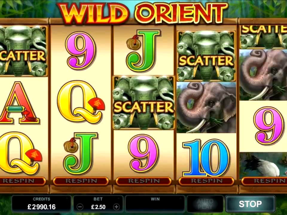 980% Casino Welcome Bonus at Casino Luck