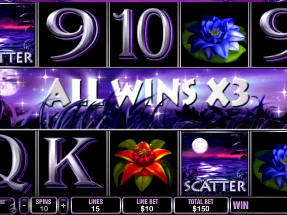 285 Free Spins at Betway Casino