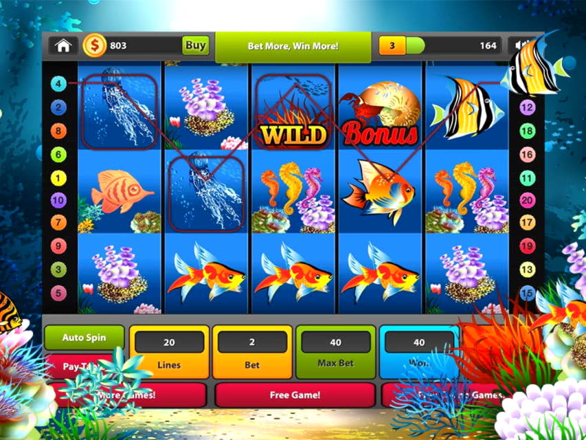 240 Loyal Free Spins! at Casino com